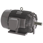 NP0504S Teco-Westinghouse 50HP Cast Iron Electric Motor, 1800 RPM
