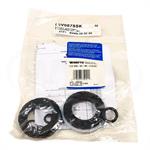 0886204 Watts Seal Kit, 11/2 SSK-02-RK-Z107M1