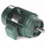 171352.60 Leeson 20HP General Purpose WATTsaver Electric Motor, 1800RPM