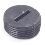 6570042 Ridgid/Ryobi Brush Cap