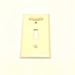 CR101X1 Flush Plate With Indicator Light
