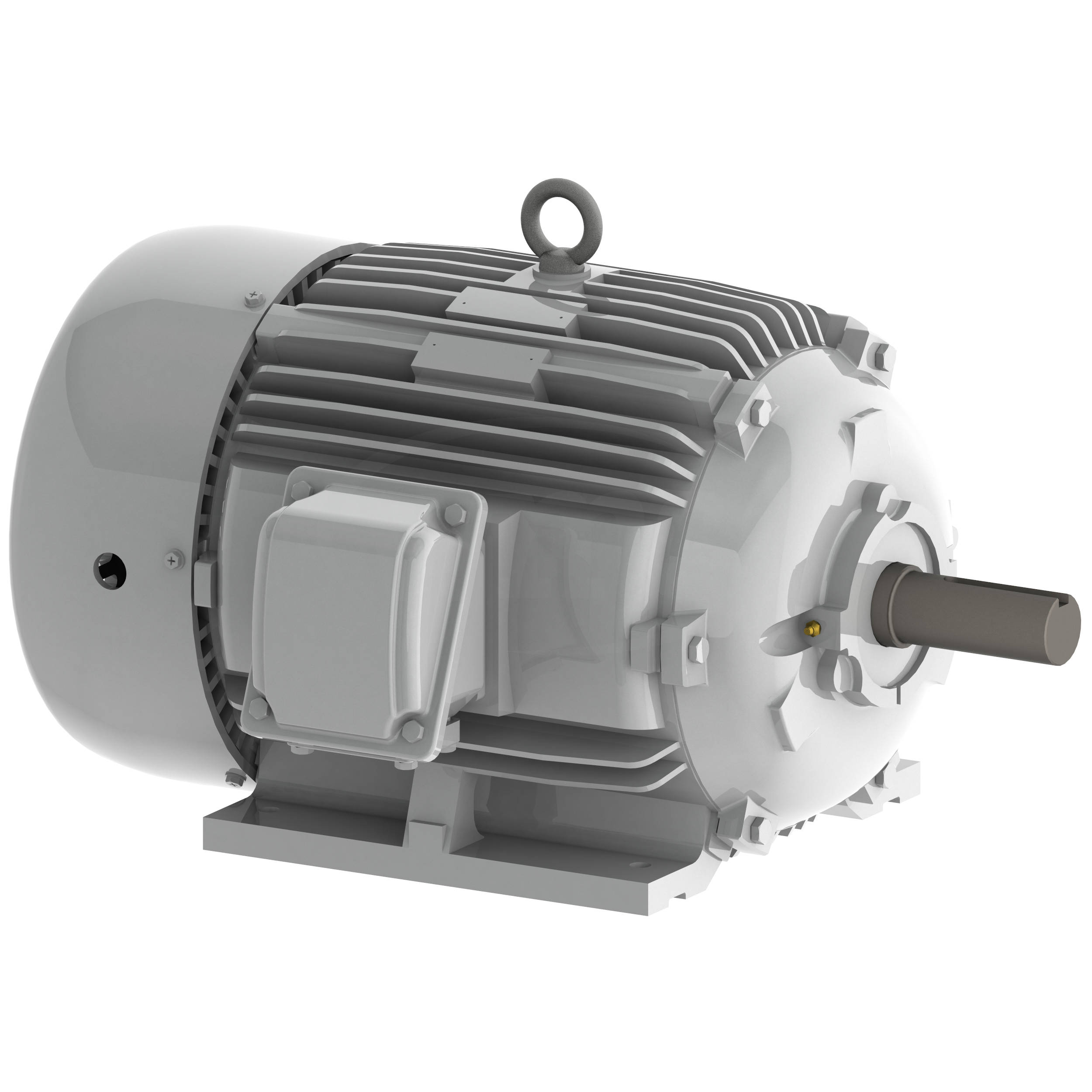Ilustrar evaporación Incorrecto EP0158 Teco-Westinghouse 15 HP Cast Iron Electric Motor, 900 RPM