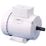 Replacement motors used in poultry feather picker machines