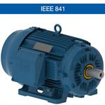 WEG’s IEEE 841 motors are specially suited for Pulp & ...