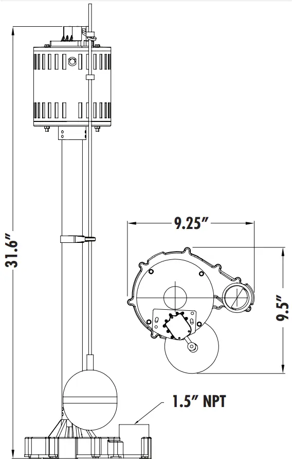 PED50CI Pump Dimensions