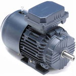 These motors meet North American performance standards, premium energy efficiency ...