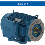 WEG’s IEEE 841 motors are specially suited for Pulp & ...