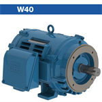 The W40 motor is a general purpose motor line designed ...