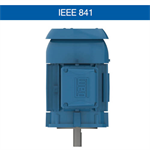 WEG’s IEEE 841 motors are specially suited for Pulp & ...