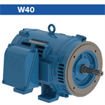 The W40 motor is a general purpose motor line designed ...