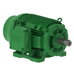 06012EG3E404T-W22 WEG 60HP Electric Motor, 1200RPM