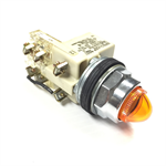 9001KT1A9 Square D Push-to-test Pilot Light