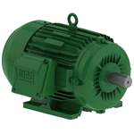 00736EG3E213T-W22 WEG 7.5HP Electric Motor, 3600RPM