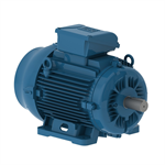 E01136ET3YAX160MF3-W WEG 11 kW(15HP) Electric Motor, 3000RPM