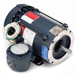 116190.00 Leeson 1/2HP Explosion Proof Electric Motor, 1800RPM