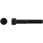 39750 Fastenal  M20-2.5 x 60mm Socket Cap Screw