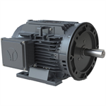 XR3-CI-OP-326TC-4-BR-D-50 Techtop 50HP Electric Motor, 1800RPM