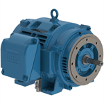 10036OT3E365JM-W40 WEG 100HP JM Close-Coupled Pump Electric Motor, 3600RPM
