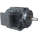 XR3-AL-OP-145T-2-B-D-3 Techtop 3HP Electric Motor, 3600RPM