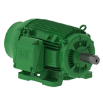 12518EG3G444T-W22 WEG 125HP Electric Motor, 1800RPM