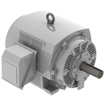 DHP2006R Teco-Westinghouse 200HP Cast Iron Electric Motor, 1200 RPM