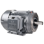 GR3-CI-TF-143TC-2-B-D-1 Techtop 1HP Electric Motor, 3600RPM