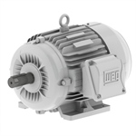 00312ES3EOW215T-W22 WEG 3HP Oil Well Pump Electric Motor, 1200RPM