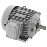 EP0034 Teco-Westinghouse 3HP Cast Iron Electric Motor, 1800 RPM