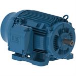 10018ET3H405T-W22 WEG 100HP Severe Duty Electric Motor, 1800RPM