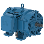 30036OT3G449TS-RFVFD WEG 300HP Refrigeration Electric Motor, 3600RPM