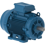 02018ET3E256TF3-W22 WEG 20HP Severe Duty Electric Motor, 1800RPM