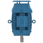 01536ET3ER254TC-W22 WEG 15HP Severe Duty Electric Motor, 3600RPM