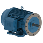 02036ET3E256JM-W22 WEG 20HP JM Close Coupled Pump Electric Motor, 3600 RPM