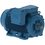 25009ET3G449T-W22 WEG 250HP Severe Duty Electric Motor, 900RPM