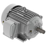 EP00565 Teco-Westinghous 5HP Cast Iron Electric Motor, 1200 RPM