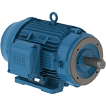 03012ET3E326TC-W22G WEG 30HP General Purpose Electric Motor, 1200RPM