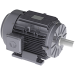 GX3-AL-TF-213T-6-B-D-3 Techtop 3HP Aluminum Frame Electric Motor, 1200RPM