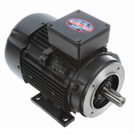 192204.00 Leeson 1.5HP / 1.1kW IEC Metric Electric Motor, 1740RPM