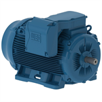 30012ET3G586/7-W22 WEG 300HP Severe Duty Electric Motor, 1200RPM