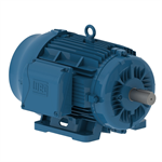 05018ET3E326TS-W22 WEG 50HP Electric Motor,1800RPM