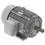 EP0258 Teco-Westinghouse 25 HP Cast Iron Electric Motor, 900 RPM