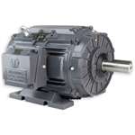 CT3-CI-TF-284T-4-B-D-25 Techtop 25HP Cooling Tower Electric Motor, 1800RPM