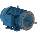 01536ET3E254JP-W22 WEG 15HP JP Close Coupled Pump Electric Motor, 3600RPM