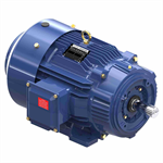 GT1224A Marathon 20HP Globetrotter Electric Motor, 3600RPM