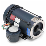 116614.00 Leeson 1HP Explosion Proof Electric Motor, 1800RPM