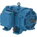 10036OT3G365TS-W40 WEG 100HP, General Purpose Electric Motor, 3600RPM