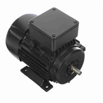R403 Marathon 0.33HP/0.25kW IEC Metric Globetrotter Electric Motor, 3600RPM