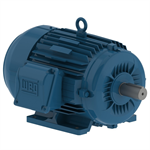 00136ET3E143T-W22 WEG 1HP Severe Duty Electric Motor, 3600RPM