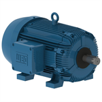 05018XT3E326T WEG 50HP Explosion Proof Electric Motor, 1800RPM