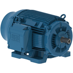 07536ET3H365TS-W22G WEG 75HP Severe Duty Electric Motor, 3600RPM